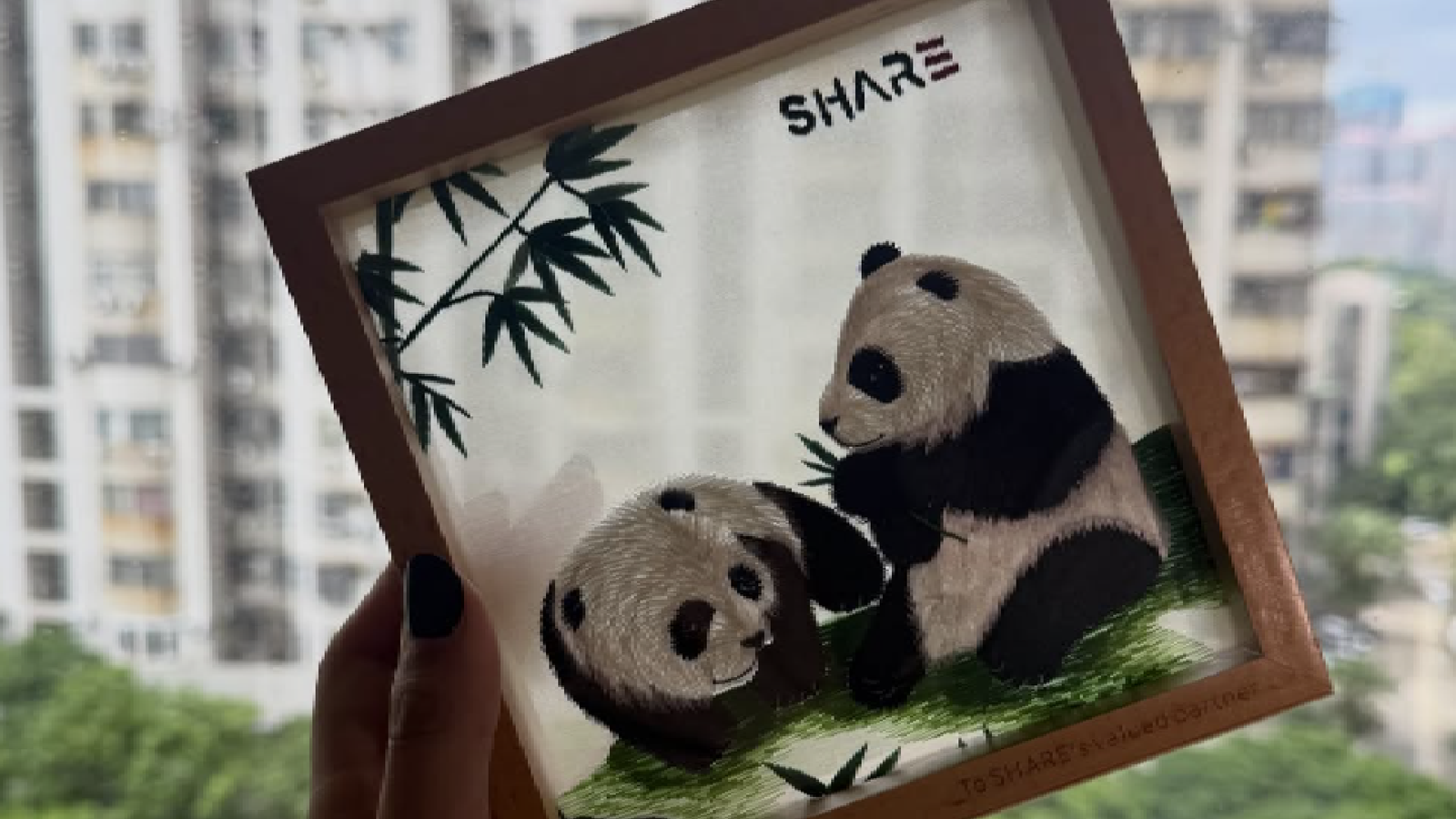 SHARE 3D Cam Partnership Announcement