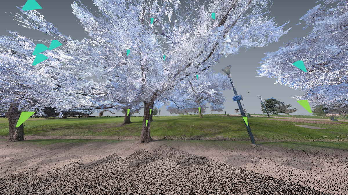 Handheld LiDAR for forest inventory plots and urban tree surveys: what the studies actually show