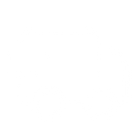 Fast-Track AI