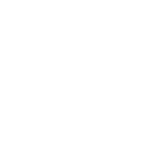 Genuine DJI Authorized