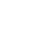 Dedicated Expert Team