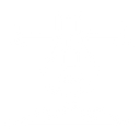 Scanning Modes