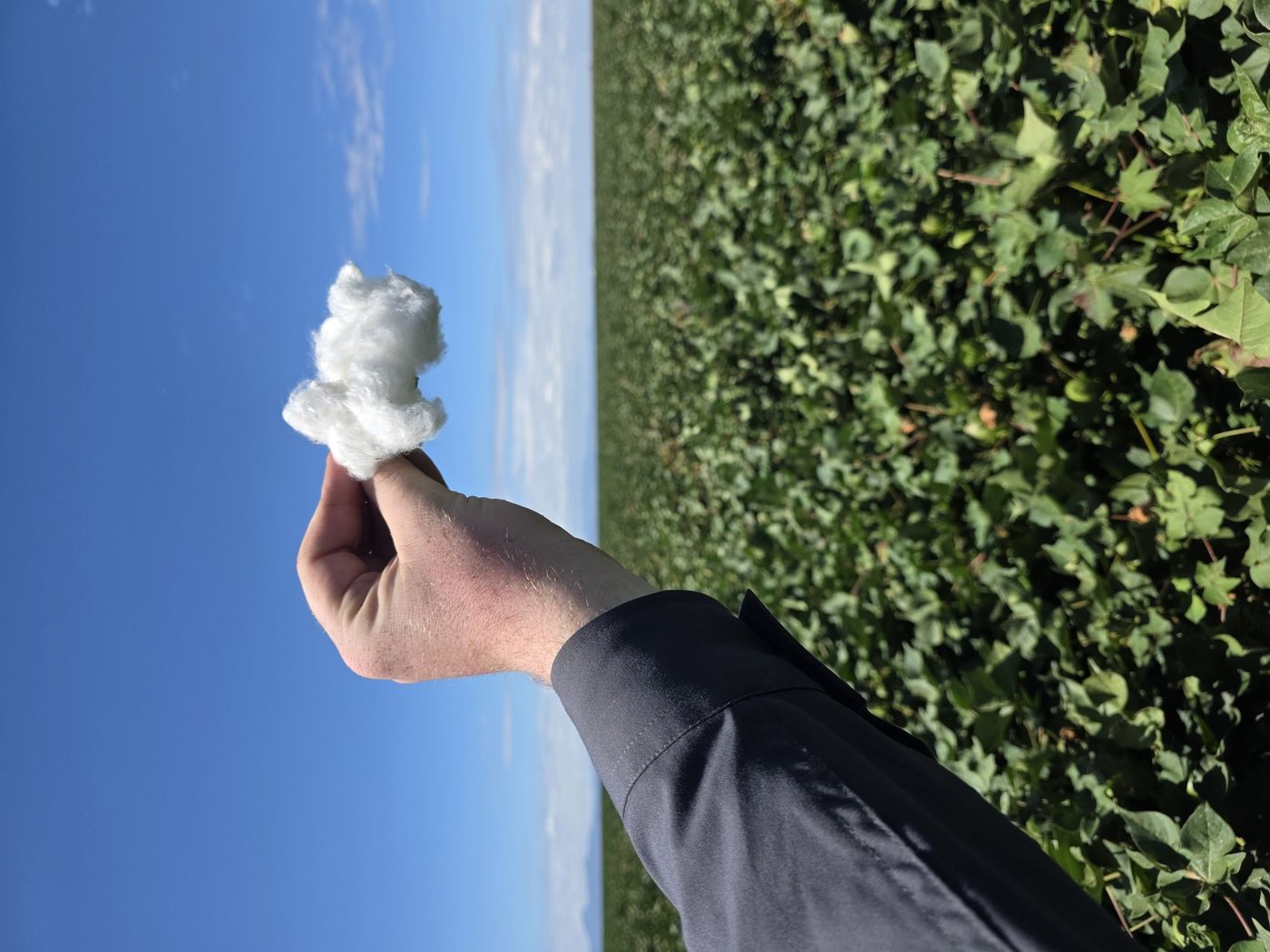 Repeat mapping over a cotton field